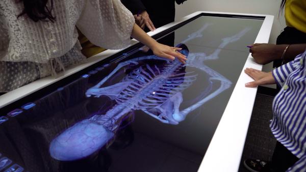 学生在x光台上探索骨骼系统.