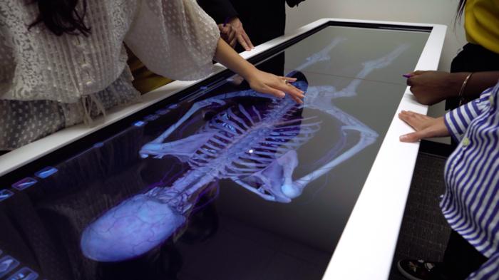 A female student's hand hovering over an anatomage table.
