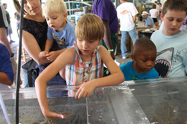 Kids experiencing marine life at summer camp